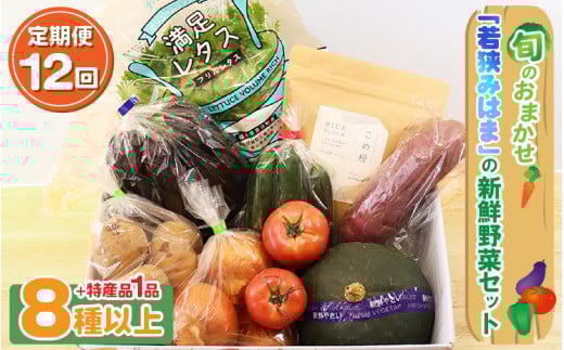 定期便 《12ヶ月連続お届け》旬のおまかせ 「若狭みはま」の新鮮野菜セット 8種以上+特産品1品 【ふるさと納税 春野菜 夏野菜 秋野菜 冬野菜 定期便 定期 やさい 野菜 セット 詰合せ 大容