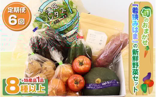 定期便 《6ヶ月連続お届け》 旬のおまかせ 「若狭みはま」の新鮮野菜セット 8種以上+特産品1品【ふるさと納税 春野菜 夏野菜 秋野菜 冬野菜  定期便 定期 やさい 野菜 セット 詰合せ 大容