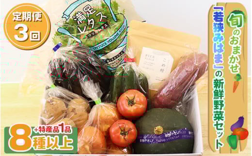 定期便 《3ヶ月連続お届け》 旬のおまかせ 「若狭みはま」の新鮮野菜セット 8種以上+特産品1品  【ふるさと納税 春野菜 夏野菜 秋野菜 冬野菜  定期便 定期 やさい 野菜 セット 詰合せ 大容