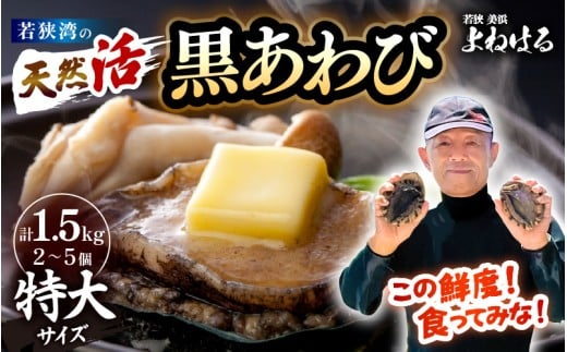 ys\z{Cዷp VR Ar v1.5kg (2`5) TCY  NxQIy2026N7菇\z hg  o^[Ă BBQ 荢  Ar  NAr 