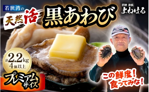 【先行予約】【数量限定】日本海若狭湾の 天然 活黒アワビ プレミアムサイズ 計2.2kg(4個以上)鮮度抜群!【2025年11月中旬より順次発送予定】 刺身 お造り バター焼き BBQ 入手困難 あわび