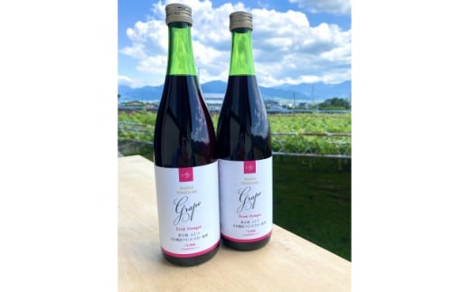 お酢のイメージを変える!ドリンクビネガーぶどう 2本セット ー飲むワインビネガー(飲む酢)-【1336547】山梨県20000お茶・飲料果汁・野菜飲料