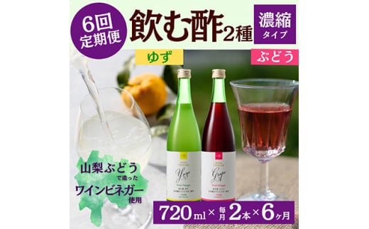 <毎月定期便>飲む酢のイメージを変える!ドリンクビネガー2種《濃縮タイプ》720ml×2本全6回【4012321】山梨県150000お茶・飲料その他 お茶・飲料