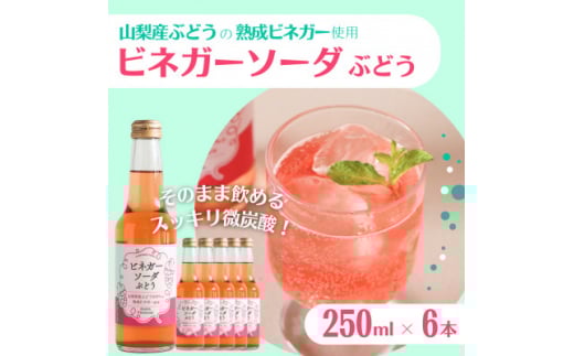 山梨産ぶどう100%の熟成ビネガーで造った!そのまま飲める<ビネガーソーダぶどう6本セット>【1537854】山梨県10000お茶・飲料その他 お茶・飲料