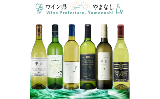 bBV[E[ 6{Zbgy1607488zR50000EAR[C