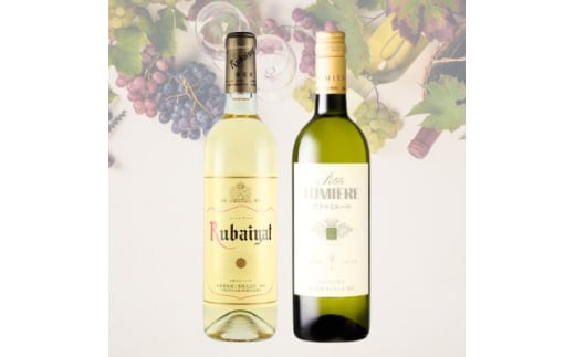 oC[g/v`~G[@2{Zbg@023y1623516zR10000EAR[C