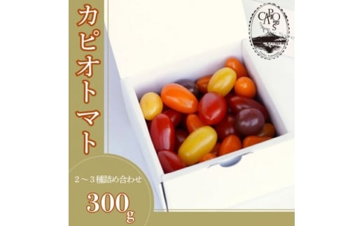 JsIg}gZNgSTCY(܂2`3i̋lߍ킹300g)y1583770zR암8700؁Êg}g