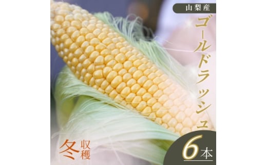 <山梨県南部町産>朝採れゴールドラッシュ6本【1663442】山梨県南部町12000野菜・きのことうもろこし
