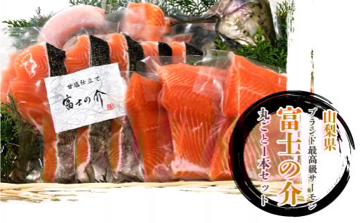 RuhōT[uxm̉v̊ۂƂP{Zbg kCEEւ̔zs ӂ邳Ɣ[   Ⴏ T[  R u  DSG002Ru44000