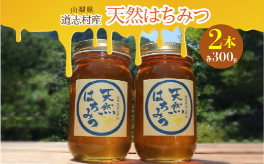 道志村産 天然はちみつ(300g×2本) ふるさと納税 はちみつ ハチミツ 蜂蜜 ハニー パン 食パン 山梨県 道志村  DSD004山梨県道志村12000鍋セット・総菜・加工食品ジャム・はちみつ