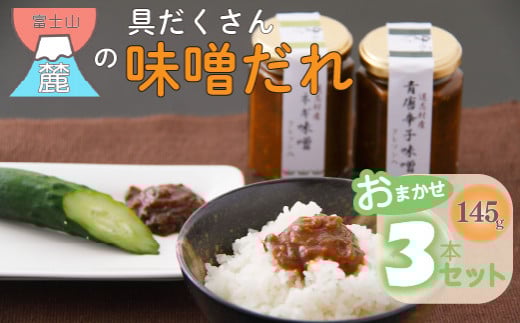 富士山麓の具だくさん味噌だれ おまかせ3本セット ふるさと納税 味噌 たれ みそ 調味料 山梨県 道志村  DSC003山梨県道志村6000調味料・油味噌