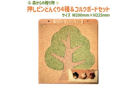 押しピンどんぐり4種&コルクボードセット【橙】 ≪壁掛け おしゃれ 可愛い ボード 飾る 写真 掲示板≫ ふるさと納税 コルクボード 壁掛け メッセージボード コルク 押しピン 山梨県 道志