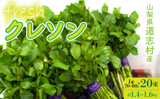 yYnzEݐVNIuYN\ 20i1400`1600gjDSAA003 yԌzRu18000؁Ê̑ 