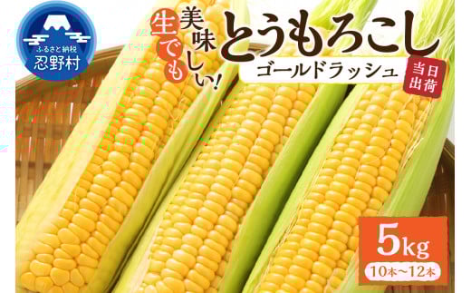 【2026年先行予約】富士北麓忍野村の気候、水、自然で作られた朝採りトウモロコシ(ゴールドラッシュ)(約5kg)山梨県忍野村18000野菜・きのことうもろこし