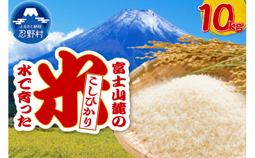 【令和7年産米】【新米先行予約】【数量限定】忍野村産コシヒカリ(10kg)山梨県忍野村21000米・パン白米