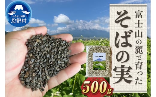 農薬不使用 富士北麓忍野村産そばの実 500g×1袋山梨県忍野村8000麺そば