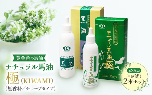 nXLICyF̔nz2_Zbgui`nɁvi^`[u^CvjMB  Ps [5659-1598]쌧s10000G݁EpiϐEtEei