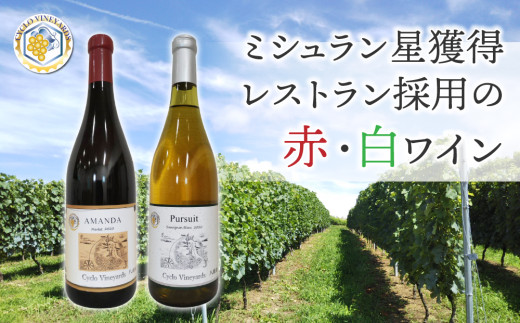 ~VlXg̗p̐ԁECy496Ci[z쌧s31000EAR[C