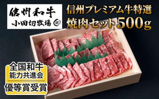 cؖq MBv~AI ēZbgi500gj |  јa Ⓚ  쌧 s Mtg v[g Ԑg o쌧s22000