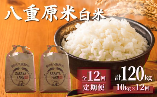 令和7年新米予約【12回定期便】東御市産 八重原米10kg(白米) ※2025年10月以降順次発送|笹屋農園「農薬削減長野県認証取得」長野県東御市468000米・パン白米