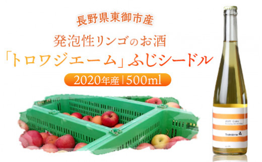ugWG[vӂV[h2020NY^AŜ |  500ml 1{쌧s6000EAR[C