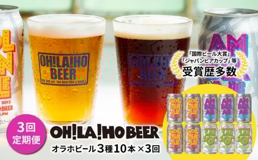 【3回定期便】オラホビール3種飲み比べ10本セット長野県東御市42000酒・アルコールビール・発泡酒