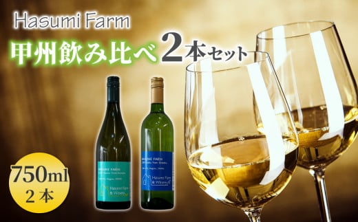 【限定】珍しい甲州種を使用した甲州飲み比べ 2本セット長野県東御市22000酒・アルコールワイン