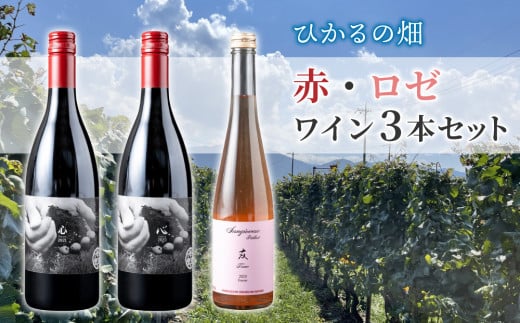 【ひかるの畑】赤ワイン・ロゼワイン 3本セット|カベルネ・ソーヴィニヨン サンジョベーゼ長野県東御市32000酒・アルコールワイン