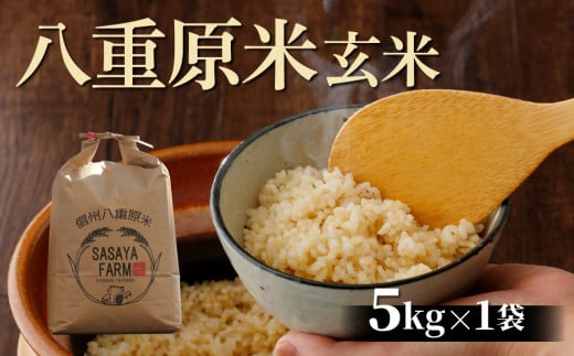令和7年新米予約!八重原米5kg(5kg×1袋)玄米 ※2025年10月以降順次発送|笹屋農園「農薬削減長野県認証取得」長野県東御市20000米・パン玄米・雑穀米・もち米・餅