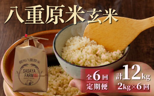 令和7年産 茨城県産 ミルキークイーン 玄米2kg｜このお米は石