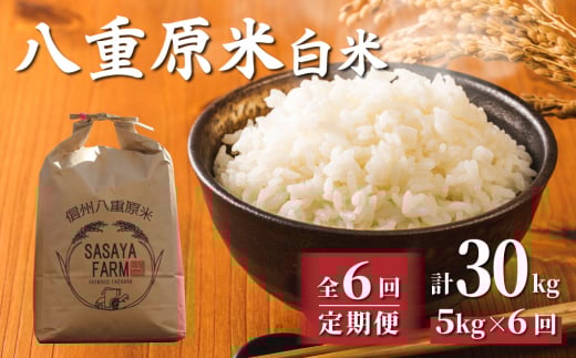 令和7年新米予約【6回定期便】八重原米5kg(5kg×1袋)白米 ※2025年10月以降順次発送|笹屋農園「農薬削減長野県認証取得」長野県東御市120000米・パン白米