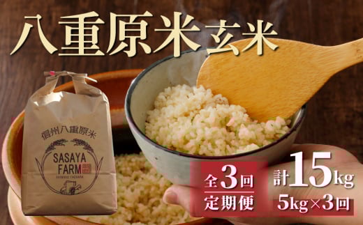 令和7年新米予約【3回定期便】八重原米5kg(5kg×1袋)玄米 ※2025年10月以降順次発送|笹屋農園「農薬削減長野県認証取得」長野県東御市60000米・パン玄米・雑穀米・もち米・餅