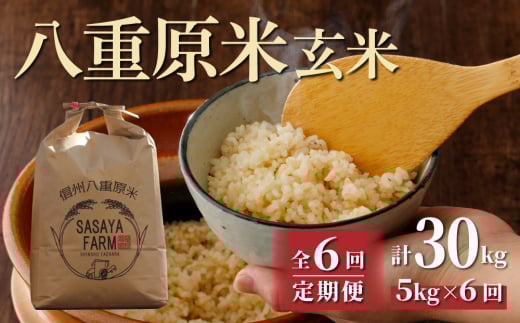 令和7年新米予約【6回定期便】八重原米5kg(5kg×1袋)玄米 ※2025年10月以降順次発送|笹屋農園「農薬削減長野県認証取得」長野県東御市120000米・パン玄米・雑穀米・もち米・餅