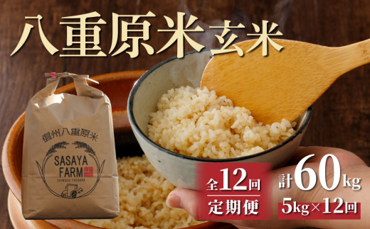 令和7年新米予約【12回定期便】八重原米5kg(5kg×1袋)玄米 ※2025年10月以降順次発送|笹屋農園「農薬削減長野県認証取得」長野県東御市240000米・パン玄米・雑穀米・もち米・餅