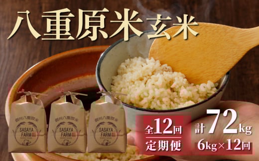 令和7年新米予約【12回定期便】八重原米6kg(2kg×3袋)玄米 ※2025年10月以降順次発送|笹屋農園「農薬削減長野県認証取得」長野県東御市312000米・パン玄米・雑穀米・もち米・餅