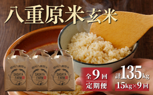 令和7年新米予約【9回定期便】八重原米15kg(5kg×3袋)玄米 ※2025年10月以降順次発送|笹屋農園「農薬削減長野県認証取得」長野県東御市522000米・パン玄米・雑穀米・もち米・餅