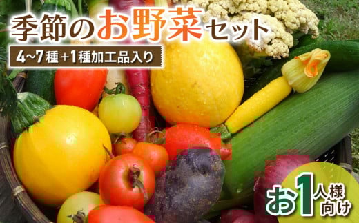 【アグロノーム】お一人様向け、お試し季節のお野菜と加工品セット長野県東御市7000野菜・きのこその他 野菜