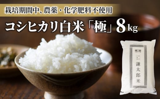 【令和7年産】八重原産コシヒカリ白米「極」8kg(栽培期間中農薬化学肥料不使用)【太陽と大地】※2025年10月中旬以降発送長野県東御市60000米・パン白米