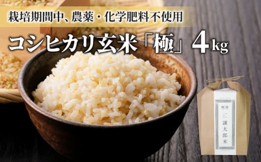 【令和7年産】八重原産コシヒカリ玄米「極」(栽培期間中農薬化学肥料不使用)4kg【太陽と大地】※2025年10月中旬以降発送長野県東御市30000米・パン白米