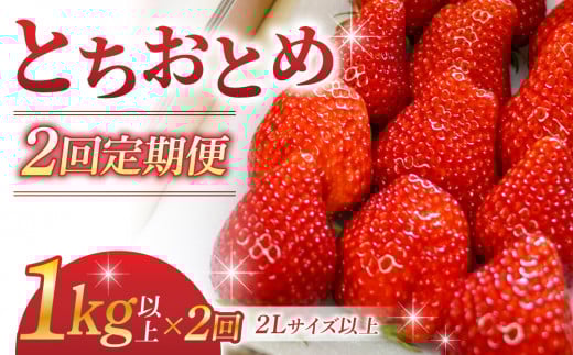 yQցzsYuƂƂ߁viPkgȏj쌧s26000ʕEt[c}XJbgEԂǂ