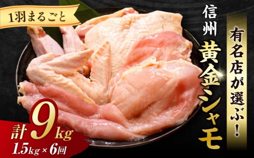 yUցzMBV1H܂邲ƃZbg쌧s132000{