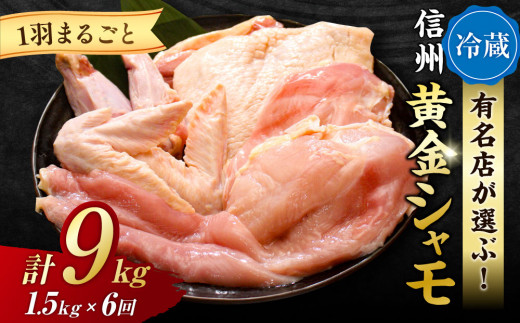 yU zтIMBV1H܂邲ƃZbgi①j쌧s144000{