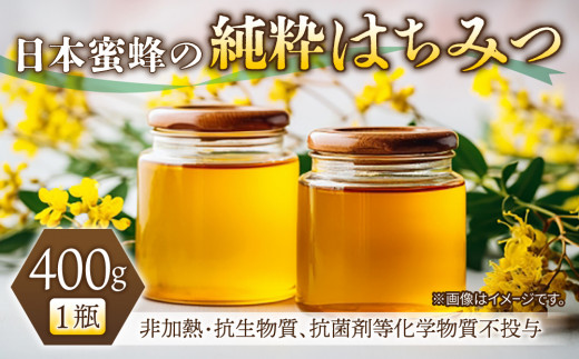 【 非加熱・抗生物質、抗菌剤等化学物質不投与 】日本みつばちの純粋はちみつ400g| 新蜜 天然  長野県東御市産 国産長野県東御市13000鍋セット・総菜・加工食品ジャム・はちみつ