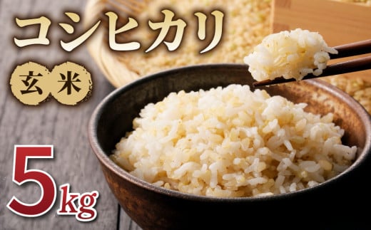 令和7年産新米!コシヒカリ玄米5kg ※2025年10月上旬以降順次発送長野県東御市13000米・パン玄米・雑穀米・もち米・餅