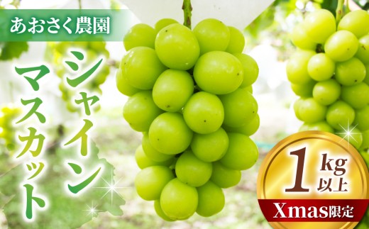 yXmasI50ZbgzVC}XJbg2`3[i1kgȏj1221A22b_쌧s18000ʕEt[c}XJbgEԂǂ