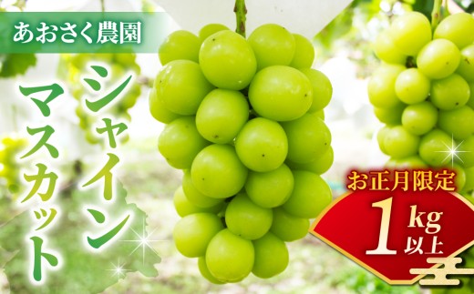 【お正月限定!50セット限り】シャインマスカット2〜3房(1kg以上)※12月28日、29日、30日発送|あおさく農園長野県東御市18000果物・フルーツマスカット・ぶどう