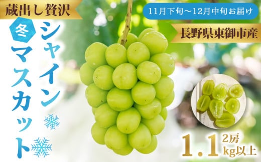 oIґVC}XJbg2[i1.1kgȏjyRuga grape farmzb~̃VC}XJbg 쌧 s MB쌧s22000ʕEt[c}XJbgEԂǂ
