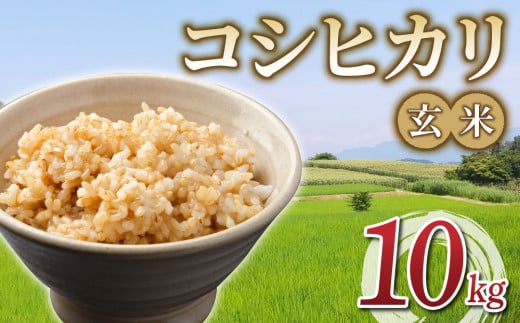 ߘa7NY VāIL@엿gp̃RVqJ  10kg(5kg×2܁jꓙāb쌧s@2025N10{ȍ~iA΁AjBAjwsj쌧s280