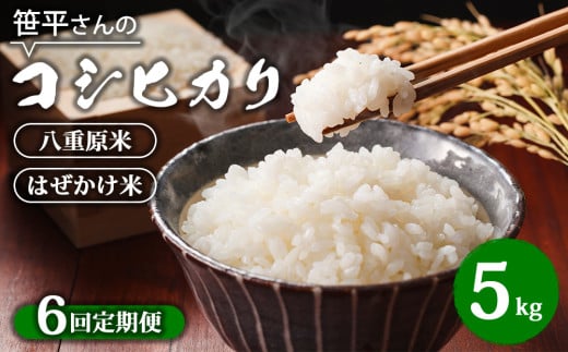 【定期便】【令和6年産】八重原産コシヒカリ 白米【5kg×全6回 合計30kg】|笹平さんのお米 八重原米 はざかけ はぜかけ長野県東御市66000米・パン白米