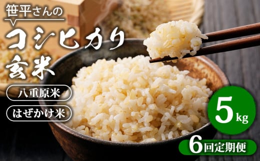 【定期便】【令和6年産】八重原産コシヒカリ 玄米【5kg×全6回 合計30kg】|笹平さんのお米 八重原米 はざかけ はぜかけ長野県東御市66000米・パン白米